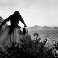 Graciela Iturbide, Mujer Ángel, Desierto de Sonora, México (Angel Woman, Sonora Desert, Mexico), 1979, Photograph from The New York Times.
